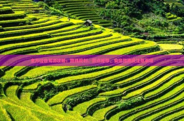 全方位自驾游攻略：路线规划、景点推荐、食宿指南及注意事项