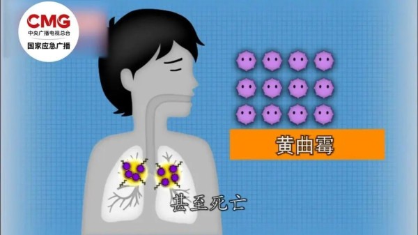 严重或致死亡！春节前大扫除必看！