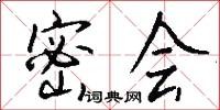 密会怎么写好看