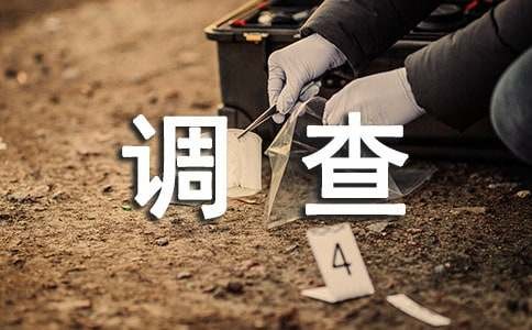 小学生早餐情况调查报告（通用14篇）