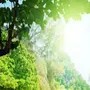 爱生活纪实