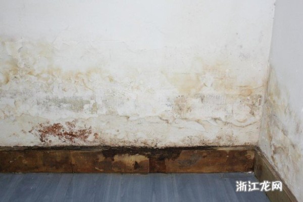 轻松解决家里发霉的六个实用小技巧 房间去除发霉的小窍门有哪些