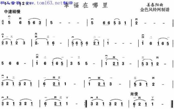 幸福在哪里体裁