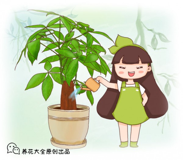 适合放办公桌上的绿植有哪些
