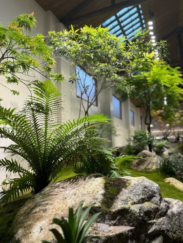 庭院美景如画