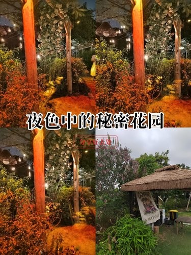 心旷神怡的花园时光