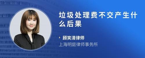 垃圾处理费不交产生什么后果