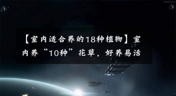 【室内适合养的18种植物】室内养“10种”花草，好养易活，茂盛常绿，提神醒脑净化空气文章配图