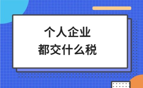 个人企业都交什么税