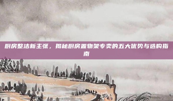 厨房整洁新主张,揭秘厨房置物架专卖的五大优势与选购指南