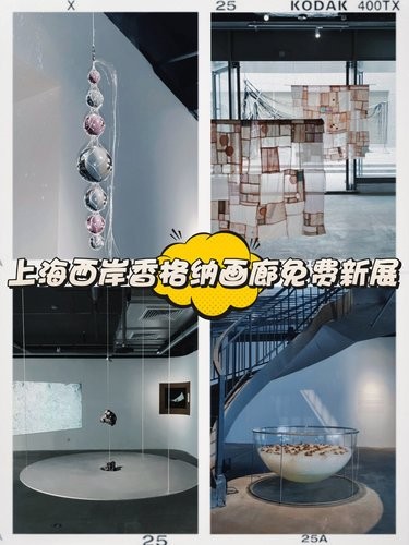上海西岸香格纳画廊免费新展 | 胞间连丝