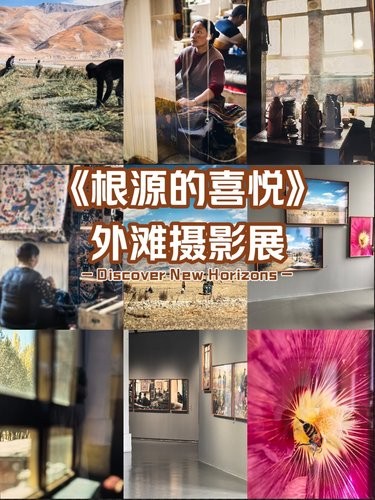 抽离喧嚣的精神秘境！-上田义彦《根源的喜悦》