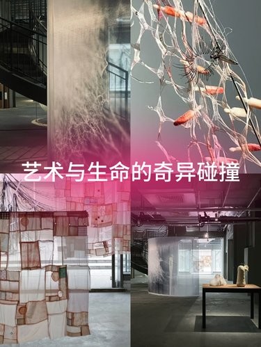 免费展|香格纳画廊《胞间连丝》出片涨知识