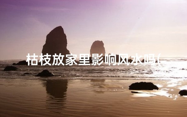 枯枝放家里影响风水吗(枯枝入室风水忌:家居摆放需谨慎)