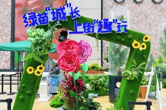 云图片