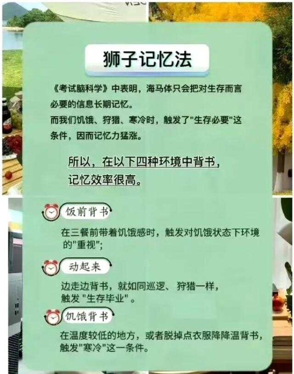 世界公认的四个超强记忆法：揭秘记忆秘诀，提高学习效率
