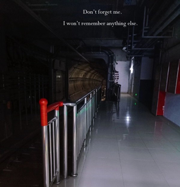 生活的闲暇时光