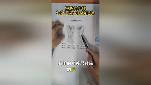 一个视频让你弄懂中医把脉