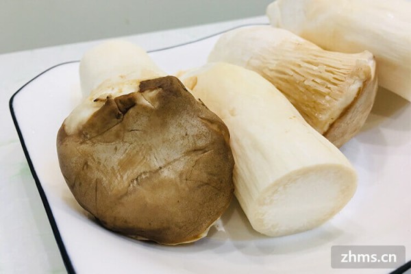 减脂食材