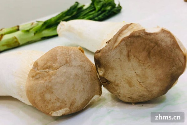 减脂食材