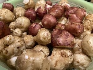 最简单的腌酱菜-腌洋姜/鬼子姜/菊芋(附洋姜三吃)的做法 步骤1
