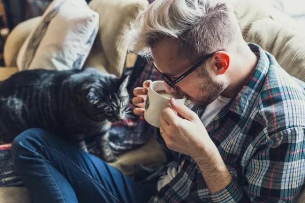 春天到，猫毛飘，pidan教你养宠除毛妙招
