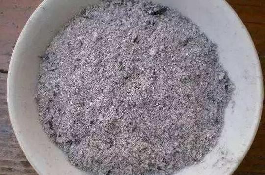 养花学会这三个技巧，你也可以是养花高手，花卉生长旺盛开花多！