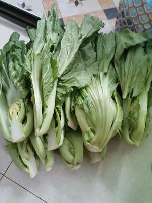 厨房小白版腌酸菜的做法 步骤1