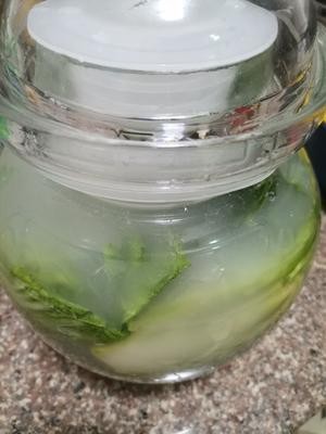 厨房小白版腌酸菜的做法 步骤5