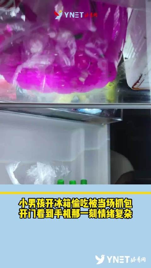 戏精!小男孩开冰箱偷吃被当场抓包,开门看到手机那一刻情绪复杂