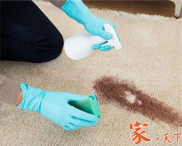 纽约地毯清洁,法拉盛清洁公司,搬家清洁公司,地毯清洁公司,纽约清洁工,纽约洗地毯公司,纽约洗地毯公司推荐,新泽西清洁公司,法拉 盛空调清洗