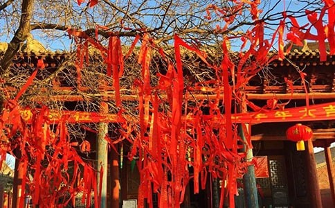 节日设计活动方案（精选5篇）