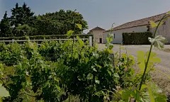 介绍 | Château Labadie
