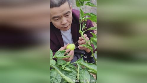 换一下都不吃亏