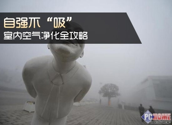 自强不“吸” 室内空气净化全攻略