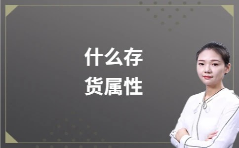 什么存货属性