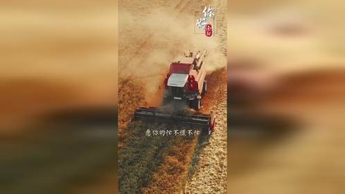 今日芒种，播种希望与理想，收获硕果满仓