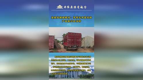 南阳职教园区皇路店镇杨寨村：月季花开富农路 产业振兴正当时