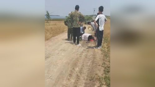 河北献县一收割机触碰电线农机手触电 医院证实没救过来