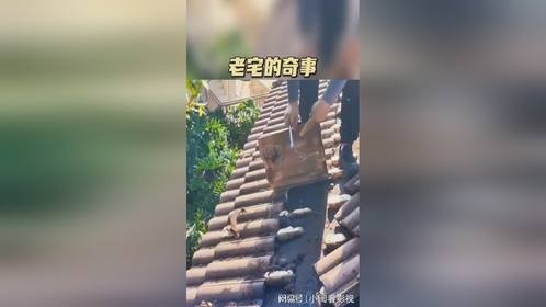 百年老宅的奇事