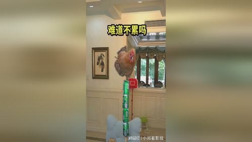 这样难道真的不累吗