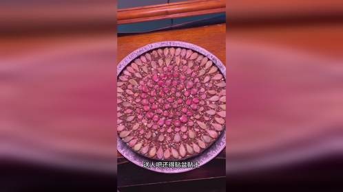 最简单多肉叶插教程，从此一发不可收拾，多到没地放！