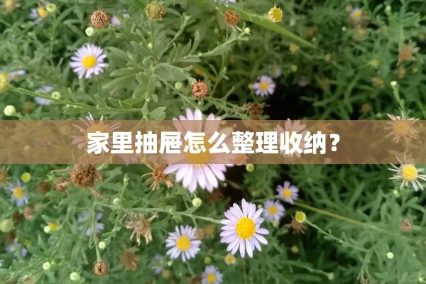 家里抽屉怎么整理收纳？
