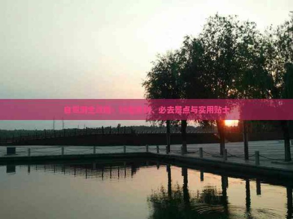 自驾游全攻略：行程规划、必去景点与实用贴士