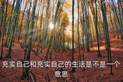 充实自己和充实自己的生活是不是一个意思
