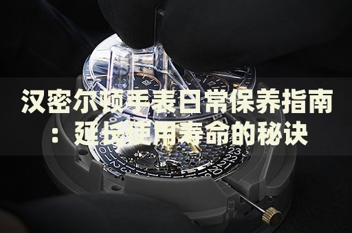汉密尔顿手表日常保养指南：延长使用寿命的秘诀 手表维修知识库