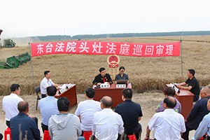 巡回审理农资款案