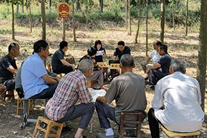 田间地头实地调解
