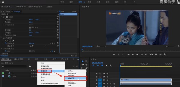 视频去水印免费方法