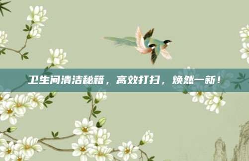 卫生间清洁秘籍,高效打扫,焕然一新!